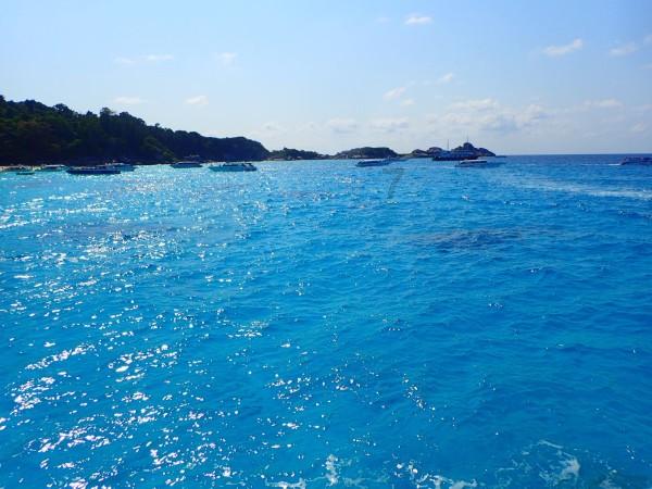 【奔流·正能量】三九天的白龙江,舟曲小伙王金泉勇救落水男子