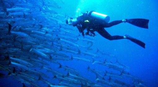 德国卡迪威百货集团申请破产-36氪